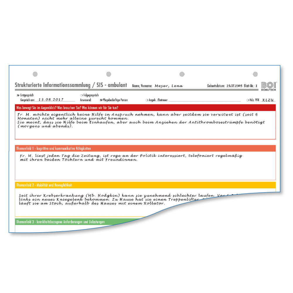 Strukturierte Informationssammlung (SIS) ambulant