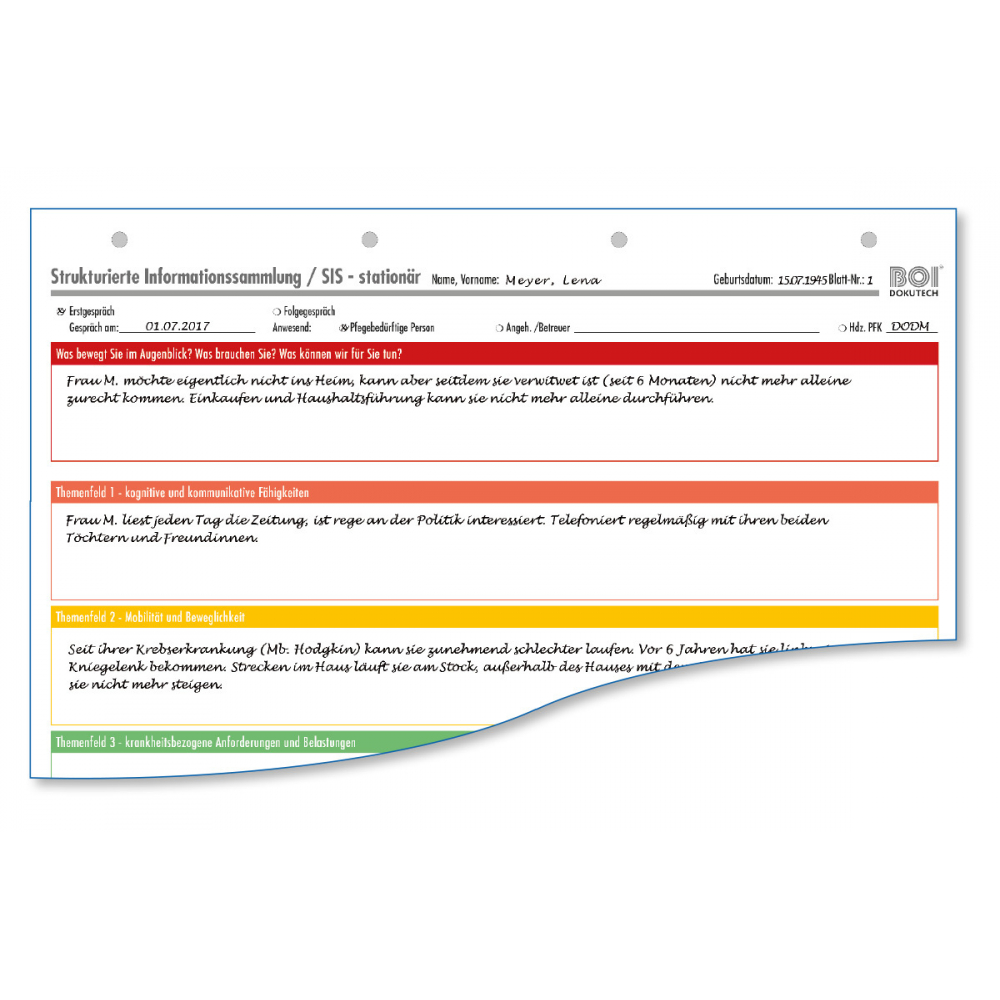 Strukturierte Informationssammlung (SIS) stationär