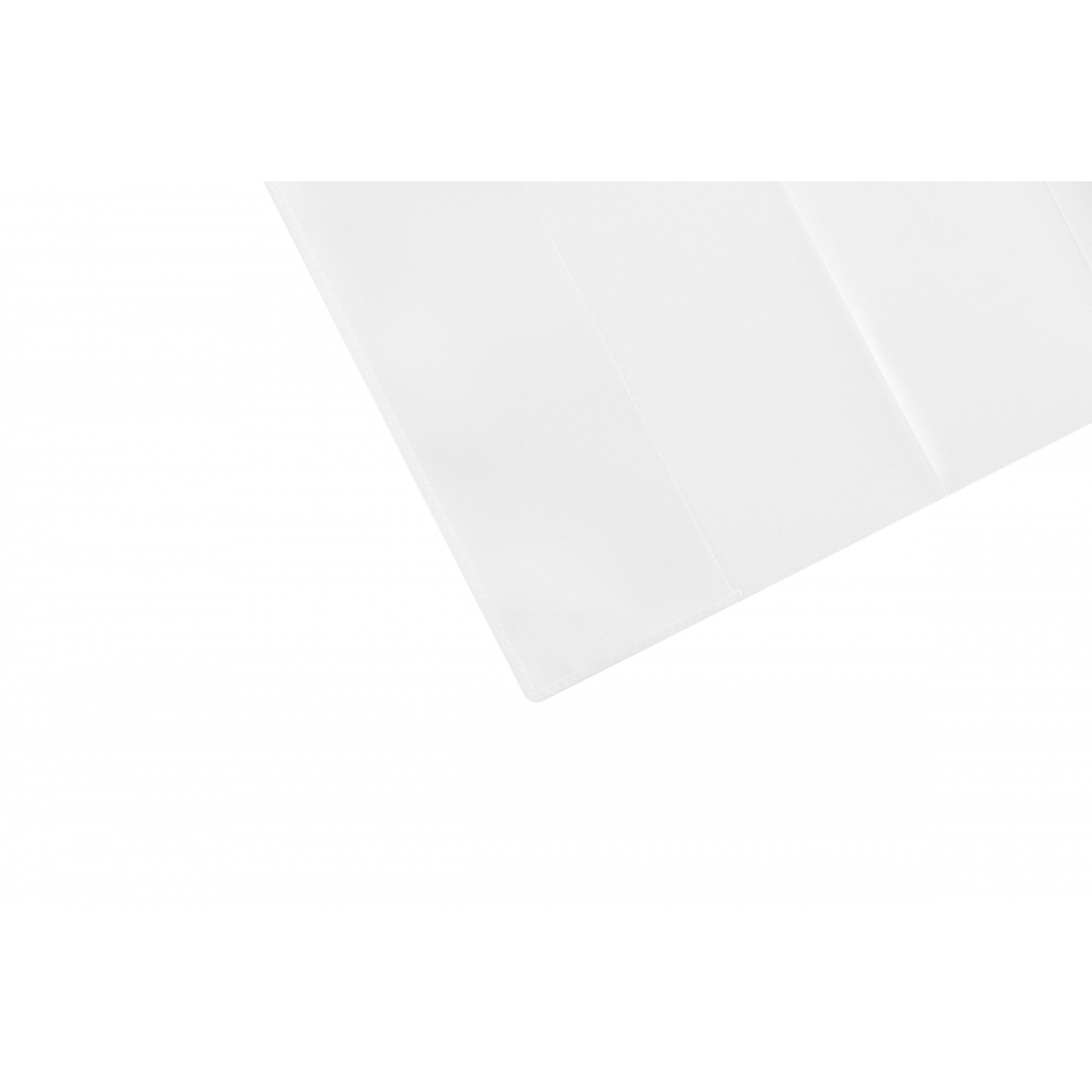 Impfpasshülle für aktuellen Impfpass