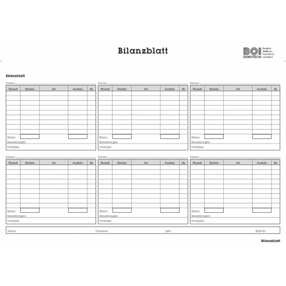 Bilanzblatt